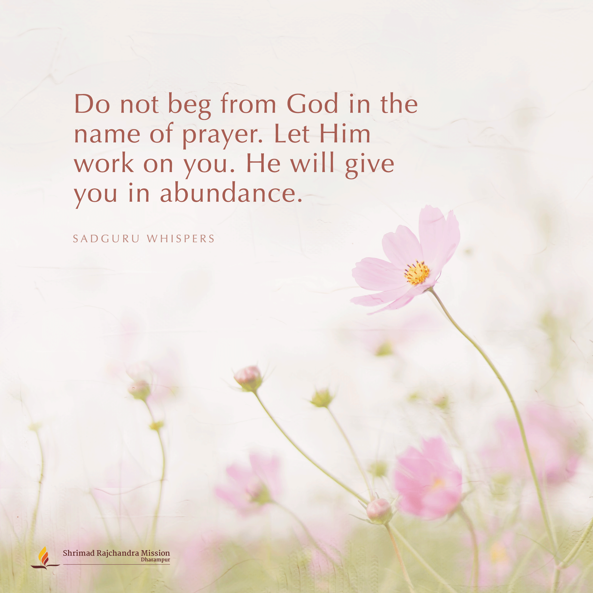 Quotes - Pujya Gurudevshri Rakeshji