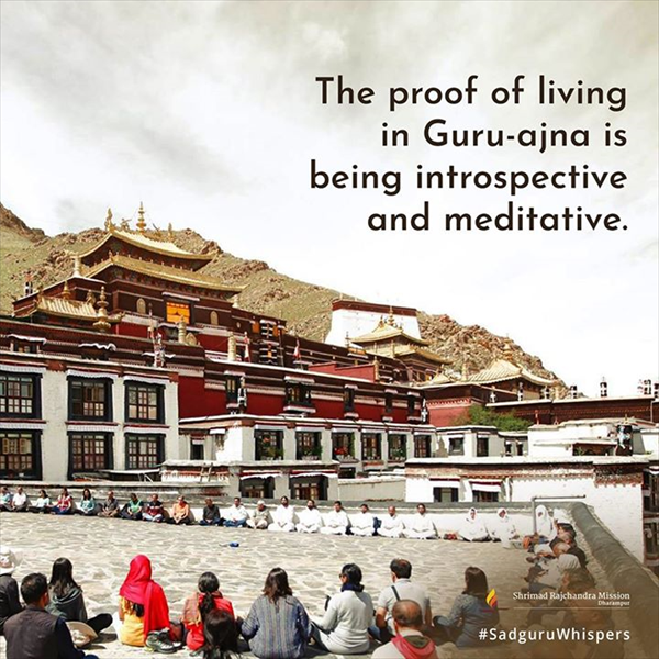 Quotes - Pujya Gurudevshri Rakeshji
