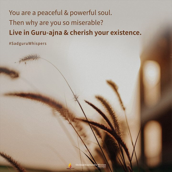 Quotes - Pujya Gurudevshri Rakeshji