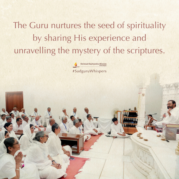 Quotes - Pujya Gurudevshri Rakeshji