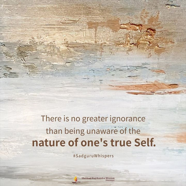 Quotes - Pujya Gurudevshri Rakeshji