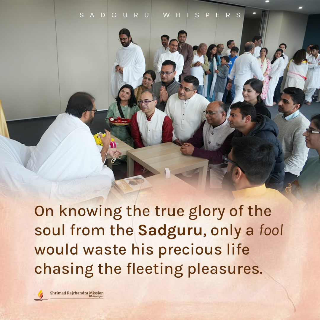 Quotes - Pujya Gurudevshri Rakeshji