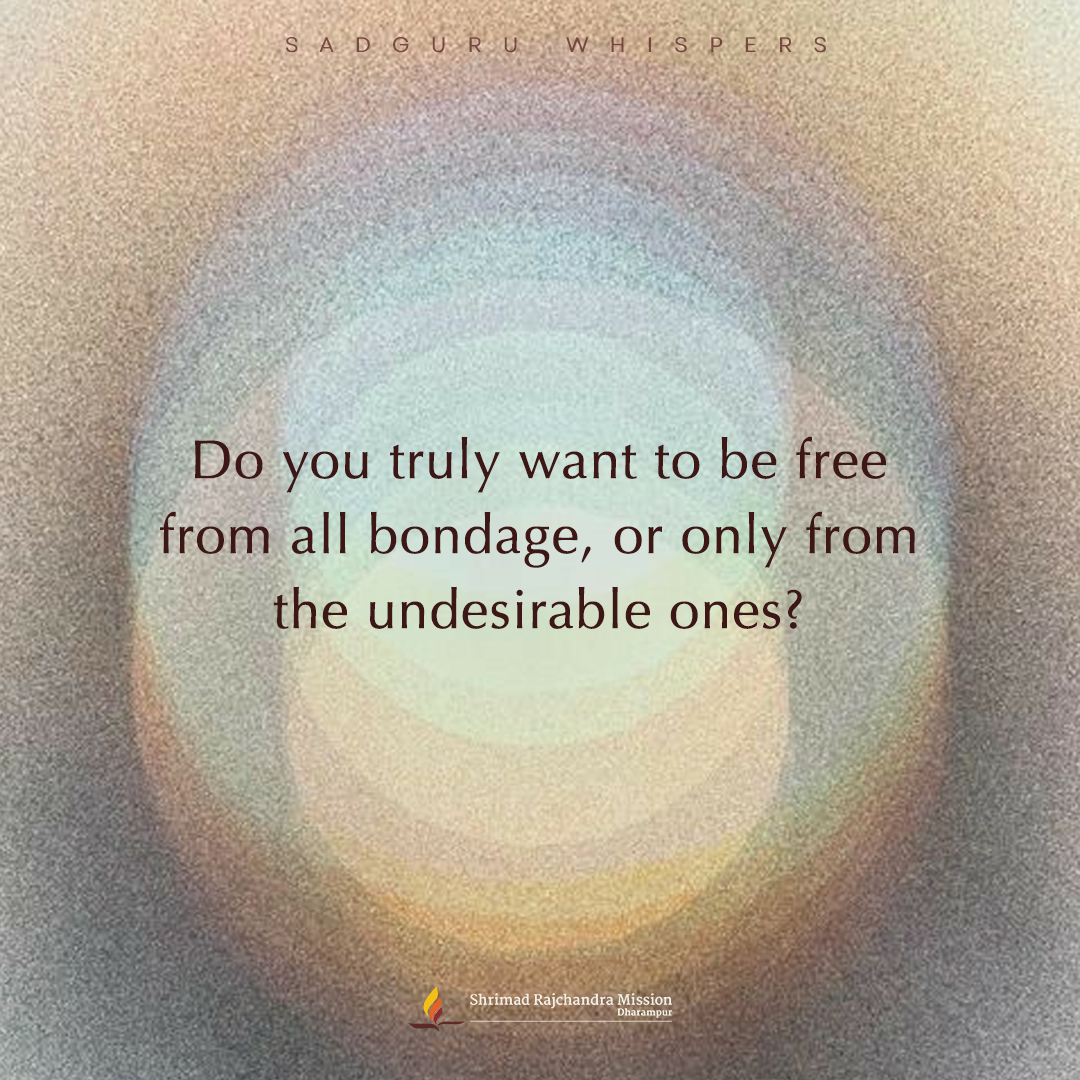 Quotes - Pujya Gurudevshri Rakeshji