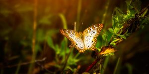 5 claves para la transformación