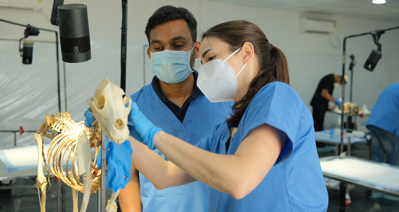 A National Platform for Veterinary Upskilling